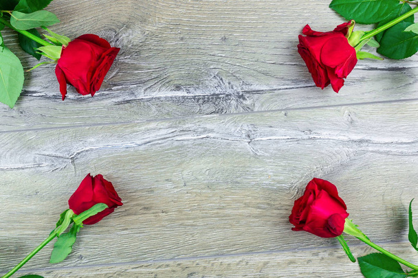 red rose bush - Фото, зображення