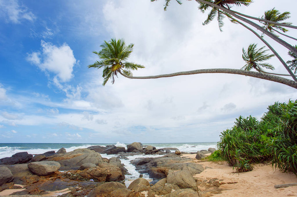 Tropical beach of Sri-Lanka - Φωτογραφία, εικόνα