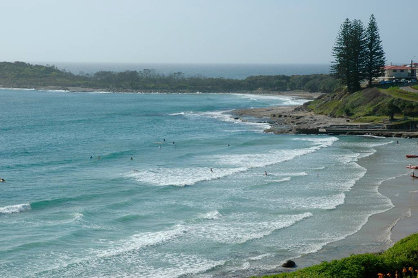 Сёрферы гребут, чтобы поймать волну на австралийском пляже. Вдалеке мыс. Сосны стоят над бассейном, вырубленным в скалах. Там чистое голубое небо
. - Фото, изображение