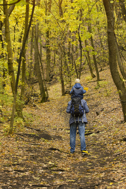 Father with his son on his shoulders walking in the autumn forest. Back view - Foto, immagini