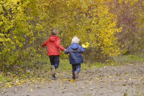 Two boys walking in the autumn park. Sunny day. Back view - Zdjęcie, obraz