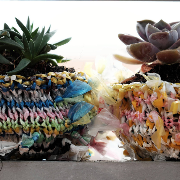 Úžasné, recyklovaný produkt od nylonová taška, dobrý nápad recyklovat řezem a sešít nylonové nitě do košíku jako hrnec rostlin sukulentní  - Fotografie, Obrázek