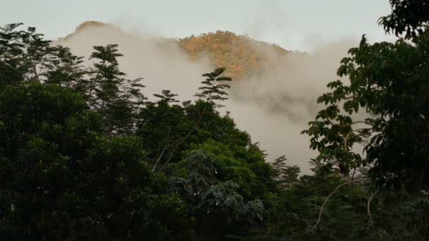 на заході сонця в горах, Піко Боніто Національний парк в Гондурасі, проміжок часу - Кадри, відео