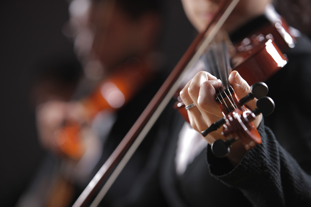 Classical music. Violinists in concert - 写真・画像