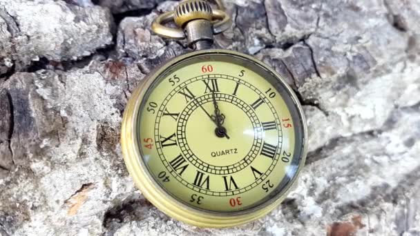 Reloj de bolsillo dorado
 - Metraje, vídeo