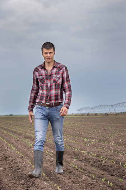 schöner Bauer mit Tablet, der im Frühling im Maisfeld spazieren geht, mit Bewässerungssystem im Hintergrund - Foto, Bild