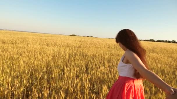 Dziewczyna z długimi włosami biegnie przez pole z pszenicy gospodarstwa kochał jedną ręką i się śmieje. - Materiał filmowy, wideo