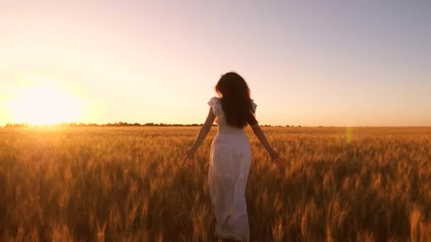 Fille heureuse en robe blanche avec de longs cheveux en développement courant à travers un champ de blé doré au coucher du soleil. Mouvement lent
. - Séquence, vidéo