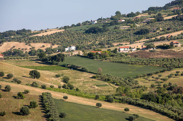 Panoramisch zicht van olijfbomen en boerderijen op de glooiende heuvels van Abruzzo  - Foto, afbeelding