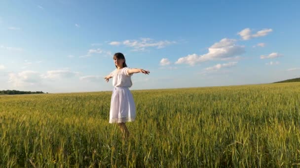 Menina bonita com longos redemoinhos de cabelo em voo esticando as mãos e sorrindo no campo com trigo contra o céu azul. Movimento lento
. - Filmagem, Vídeo