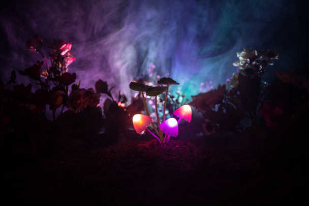 Três cogumelos brilhantes de fantasia em mistério floresta escura close-up. Belo tiro macro de cogumelo mágico ou três almas perdidas na floresta de avatar. Luzes de fadas no fundo com nevoeiro. Foco seletivo
 - Foto, Imagem