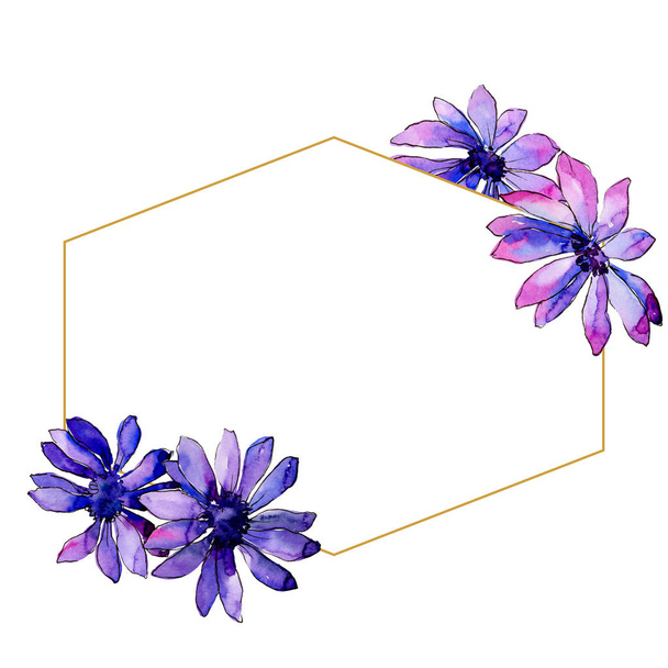 Aquarel paarse Afrikaanse daisy. Floral botanische bloem. Frame grens ornament vierkant. Aquarelle wildflower voor achtergrond, textuur, wrapper patroon, frame of rand. - Foto, afbeelding