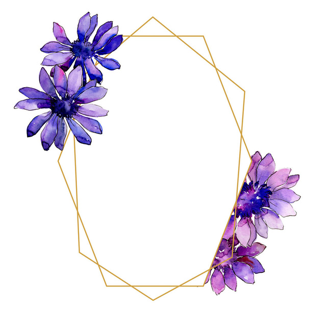 Watercolor purple african daisy. Floral botanical flower. Frame border ornament square. Aquarelle wildflower for background, texture, wrapper pattern, frame or border. - Foto, Imagem