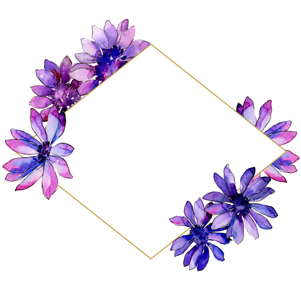 Watercolor purple african daisy. Floral botanical flower. Frame border ornament square. Aquarelle wildflower for background, texture, wrapper pattern, frame or border. - Photo, Image