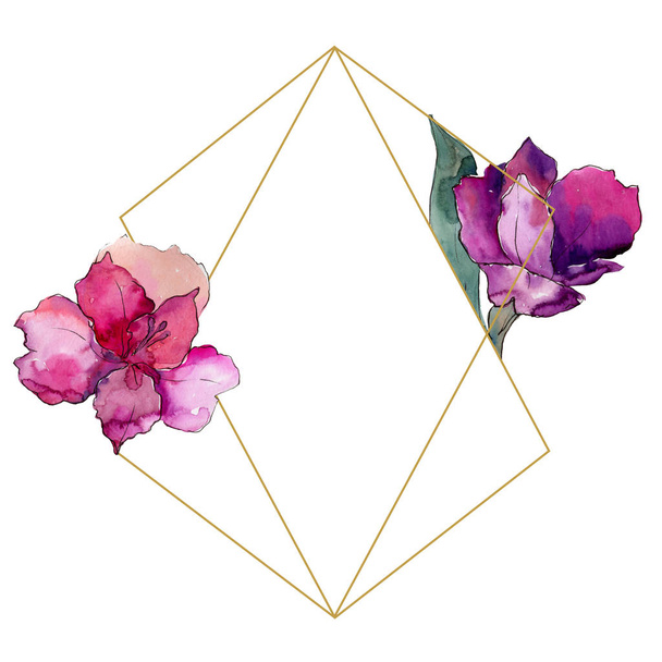 Sulu boya renkli alstroemeria çiçek. Botanik çiçek. Çerçeve kenarlığı süsleme Meydanı. Arka plan, doku, sarıcı desen, çerçeve veya kenarlık için Aquarelle kır çiçeği. - Fotoğraf, Görsel