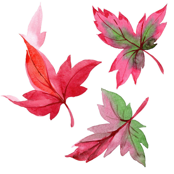 Színes őszi levelek elszigetelt akvarell stílusú. Az Aquarelle levél a háttér textúra, burkoló minta, keret vagy határ. - Fotó, kép