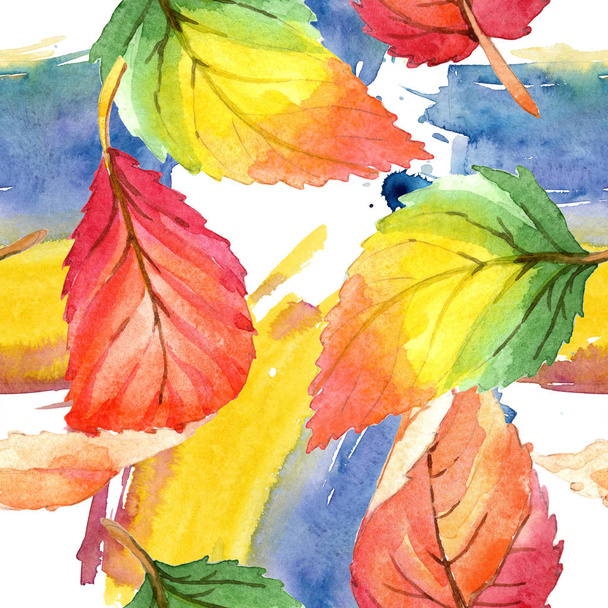 Barevné podzimní listí ve stylu akvarelu. Vzor bezešvé pozadí. Fabric tapety tisku texturu. Aquarelle list pro pozadí, textura, souhrnný vzorek, rám nebo hranice. - Fotografie, Obrázek