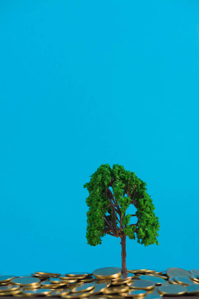 Дерево растет на куче золотых монет, рост бизнес-финансирования инвестиций и корпоративной социальной ответственности или практики КСО и концепции устойчивого развития
. - Фото, изображение
