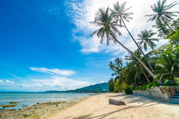 Hermosa playa tropical de mar y arena con palmera de coco en el cielo azul y nube blanca para viajes y vacaciones
 - Foto, imagen