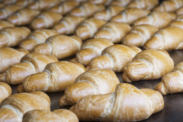 Grupo de croissants horneados en la línea de producción
 - Foto, Imagen
