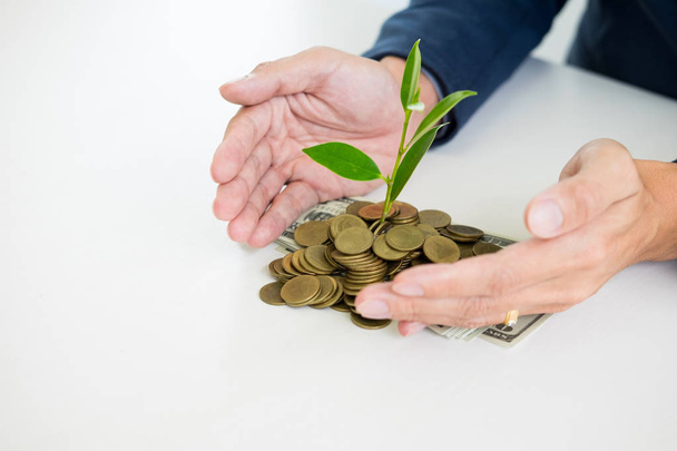 Biznes człowiek strony tworzą palm z dorastania monet pieniędzy i kiełki roślin oszczędności finansowe koncepcja sukcesu. - Zdjęcie, obraz
