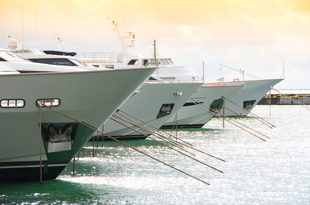 Fila di yacht nel porto di La Spezia, Italia
 - Foto, immagini