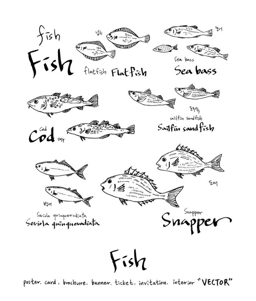 sea food illustrations / Hand drawn food ingredients - vector - Вектор, зображення