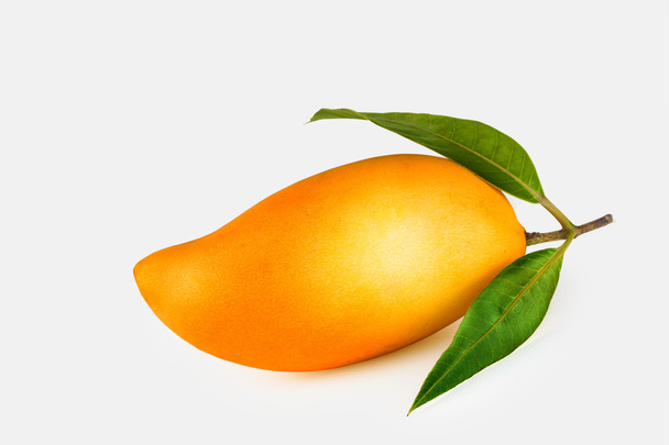mango - Photo, Image