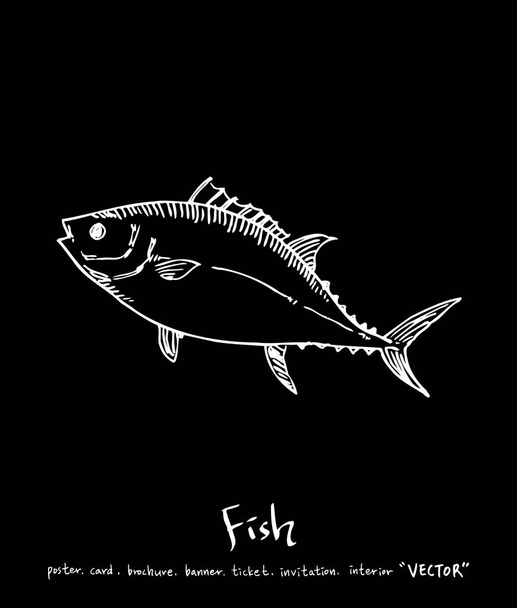 sea food illustrations / Hand drawn food ingredients - vector - Vector, imagen