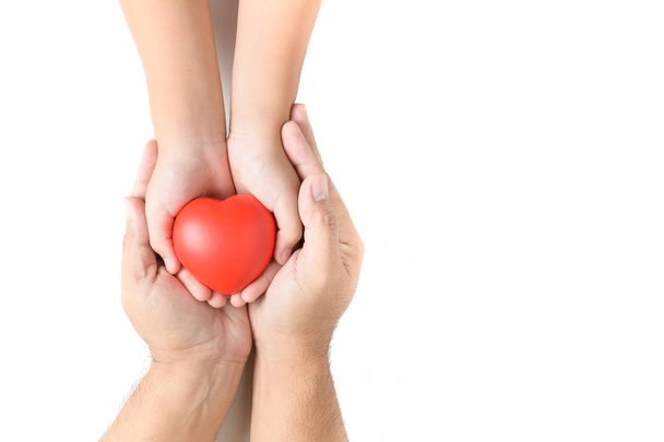 Yetişkin ve çocuk elleri kırmızı kalbi tutarken beyaz arka planda izole edilmiş sağlık, aşk ve aile sigortası konsepti, dünya kalp günü - Fotoğraf, Görsel