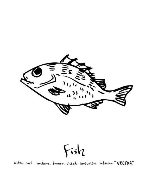 Hand drawn food ingredients / sea food illustrations - vector - Vektor, obrázek