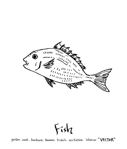 Hand drawn food ingredients / sea food illustrations - vector - Vektori, kuva
