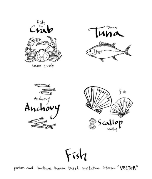 Hand drawn food ingredients / sea food illustrations - vector - Vector, afbeelding