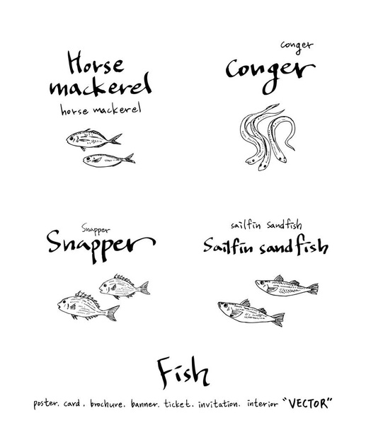 Hand drawn food ingredients / sea food illustrations - vector - Vector, Image