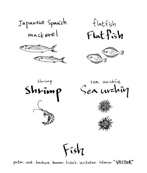 Hand drawn food ingredients / sea food illustrations - vector - Vektor, kép