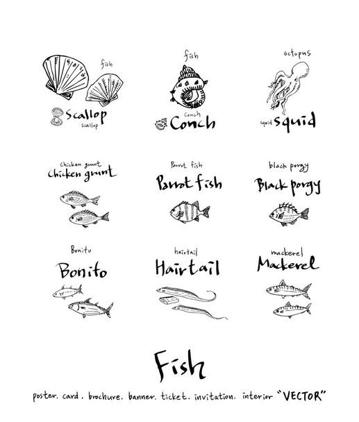Hand drawn food ingredients / sea food illustrations - vector - Vector, Image