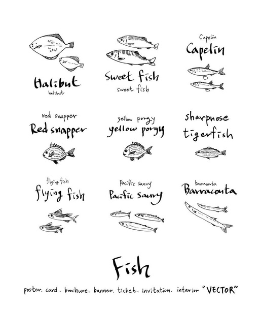 Ręcznie rysowane składników / sea food ilustracje - vector - Wektor, obraz