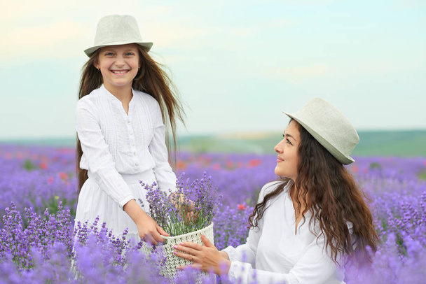 nuori nainen ja tyttö ovat laventelipellolla, kaunis kesämaisema punaisilla unikonkukilla
 - Valokuva, kuva