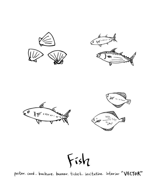 Hand drawn food ingredients / sea food illustrations - vector - ベクター画像