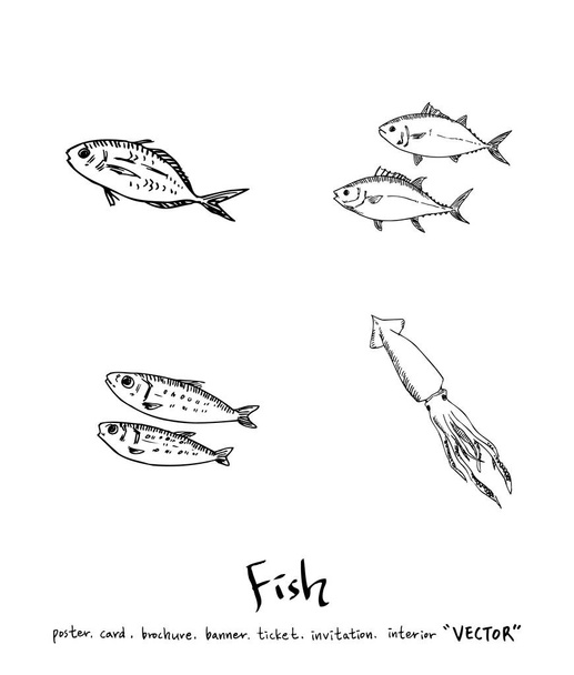 Hand drawn food ingredients / sea food illustrations - vector - Wektor, obraz