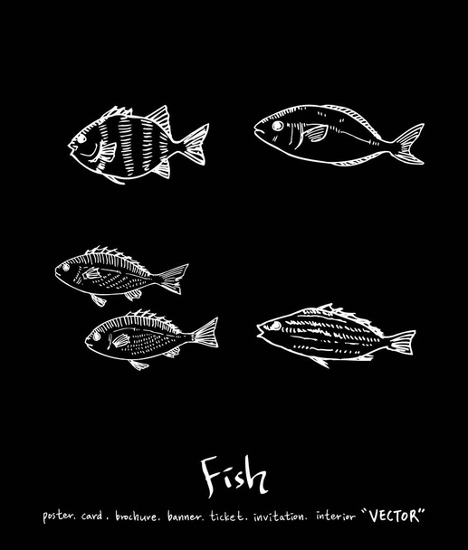 Hand getekende voedselingrediënten / zee voedsel illustraties - vector - Vector, afbeelding