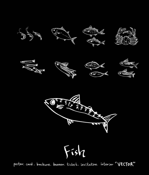 Hand drawn food ingredients / sea food illustrations - vector - Vector, afbeelding