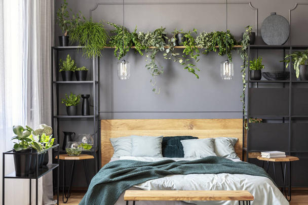 Plants and lamps above wooden bed with green blanket in grey bedroom interior. Real photo - Fotografie, Obrázek
