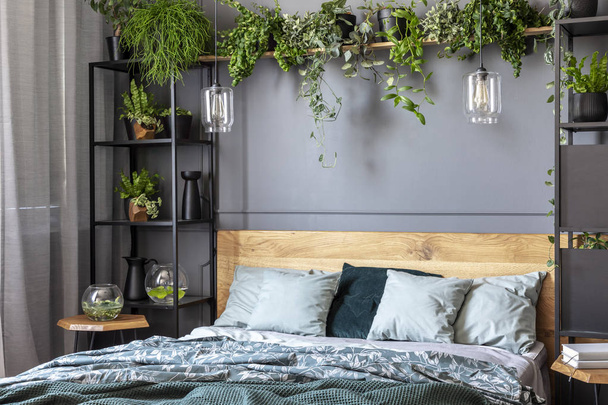 Grey pillows on wooden bed in dark bedroom interior with lamps and plants. Real photo - Foto, afbeelding