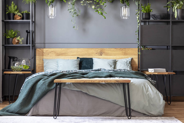 Hairpin bench standing by the king-size bed with many cushions and green blanket in grey bedroom interior with lamps and fresh plants - Φωτογραφία, εικόνα