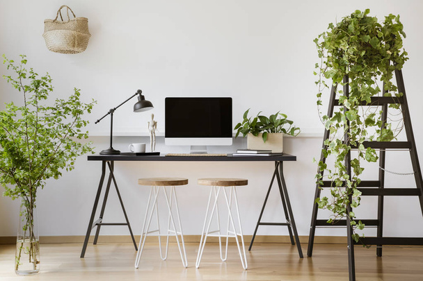 Desktop computer on desk with lamp in white freelancer's interior with plants and stools. Real photo - Фото, изображение