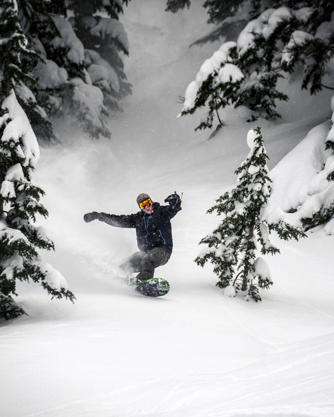 Uomo che fa turni sullo snowboard nella foresta backcountry
 - Foto, immagini