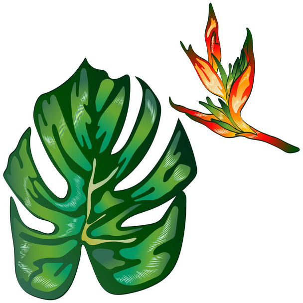 Tropisch groene bladeren in een vector stijl geïsoleerd. Vector blad voor achtergrond, textuur, wrapper patroon, frame of rand. - Vector, afbeelding