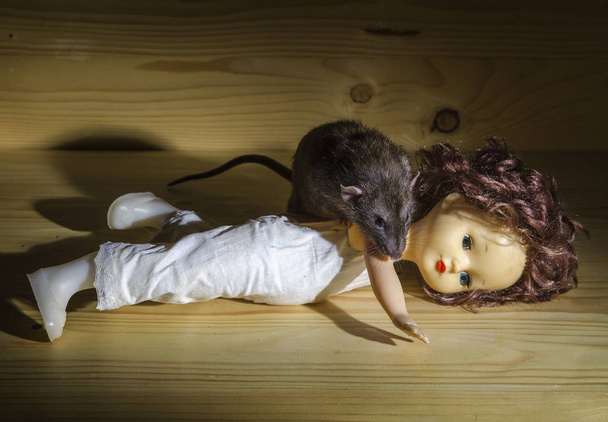 Un rat et une vieille poupée sur une table en bois
. - Photo, image