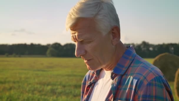 Old confident agronomist typing on tablet and standing on straw field, beautiful view of cultivated land in background - Materiał filmowy, wideo